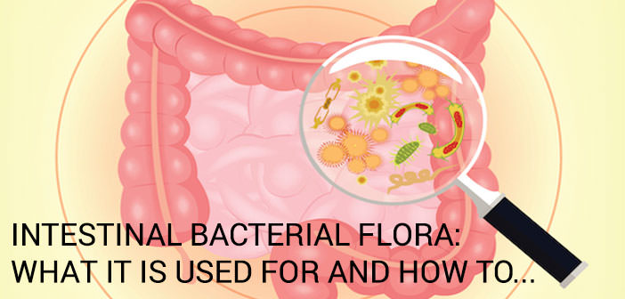 Intestinal bacterial flora